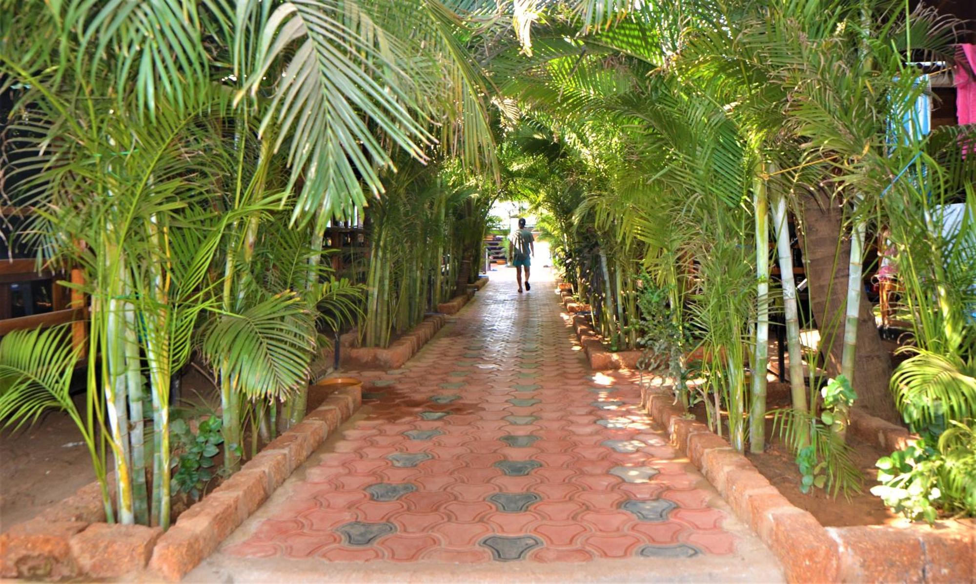 Agonda Sunset Beach Resort Extérieur photo